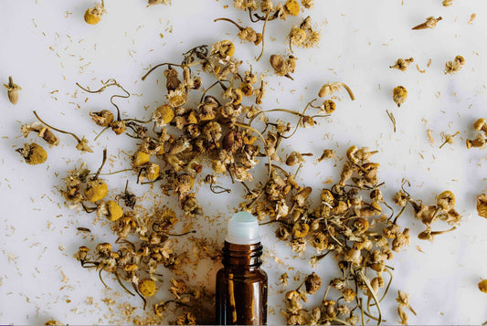 UNDERSTANDING THE MODERN ALLURE OF PATCHOULI